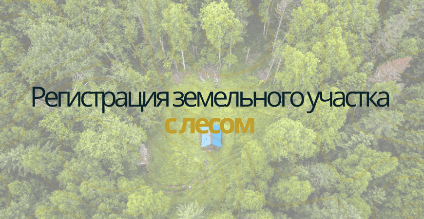 Земельный участок с лесом в Дмитрове и Дмитровском районе